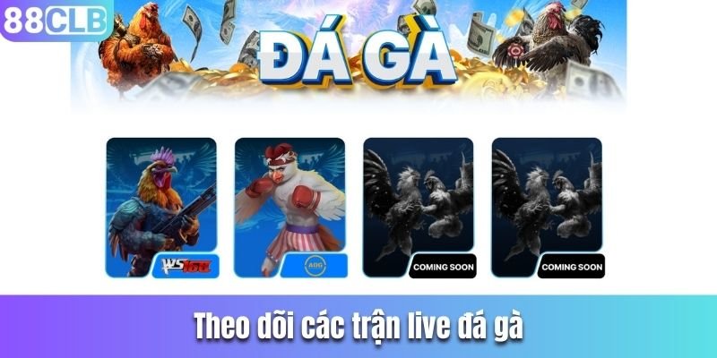 Theo dõi live các trận đá gà tại nhà cái